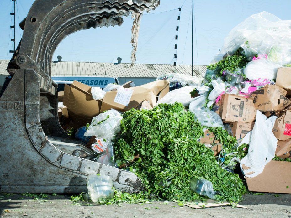 Unlocking the Potential of Plastic Recycling: Transforming Waste into Opportunity